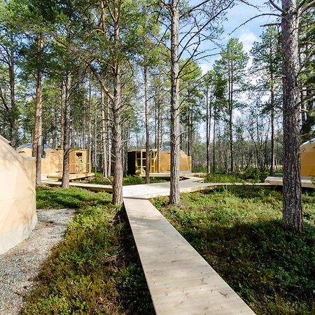 Glod Aurora Canvas Dome Άλτα Εξωτερικό φωτογραφία