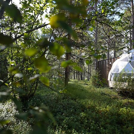 Glod Aurora Canvas Dome Άλτα Εξωτερικό φωτογραφία